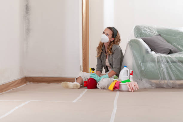 Reliable Black Mold Remediation contractor in Damascus, MD by 24 Hour Mold Removal